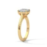 the cardinal cathedral setting