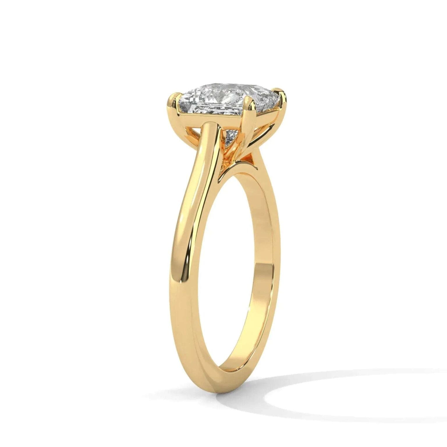 the cardinal cathedral setting