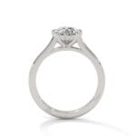 the cardinal cathedral setting