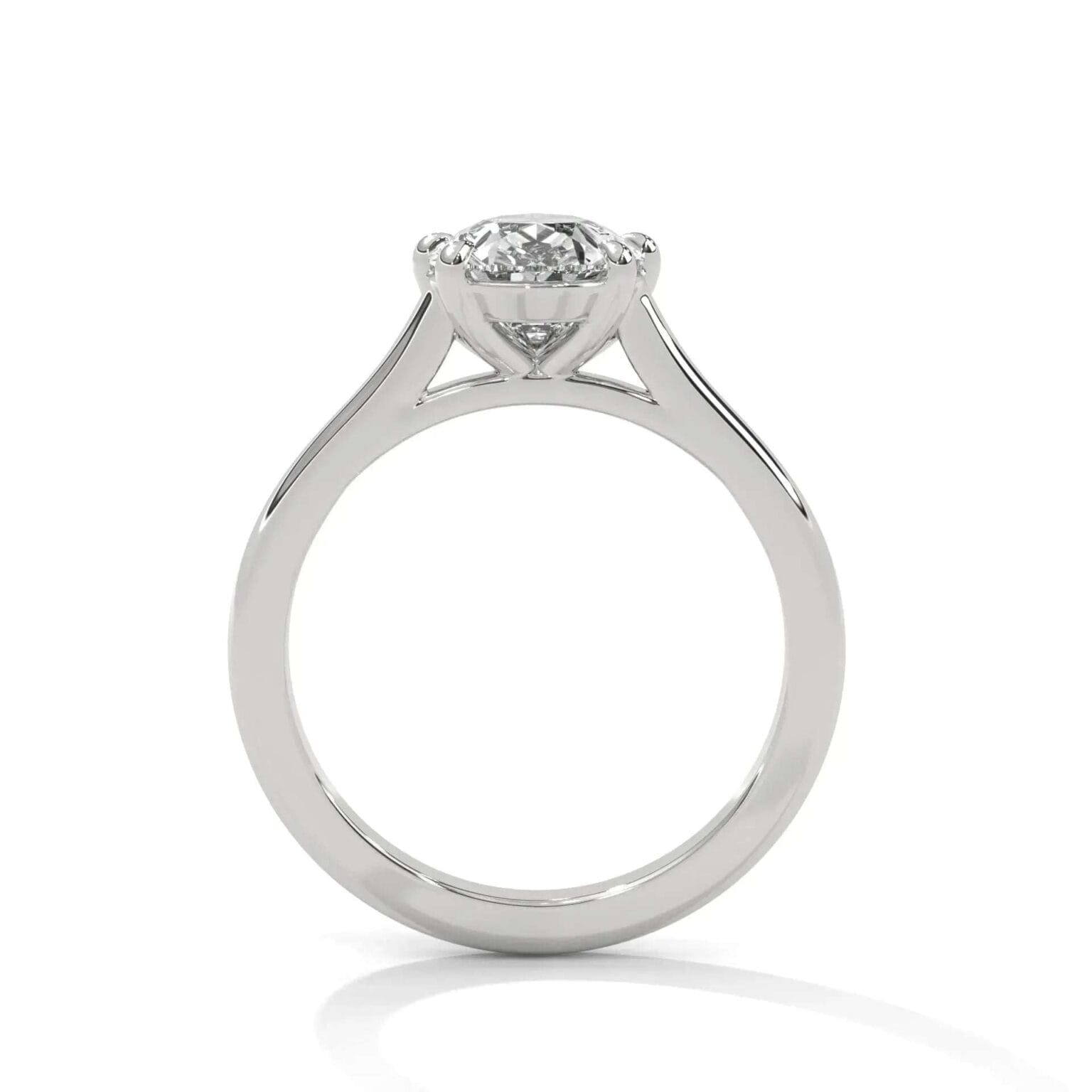 the cardinal cathedral setting