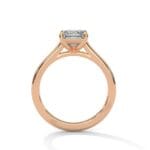 the cardinal cathedral setting