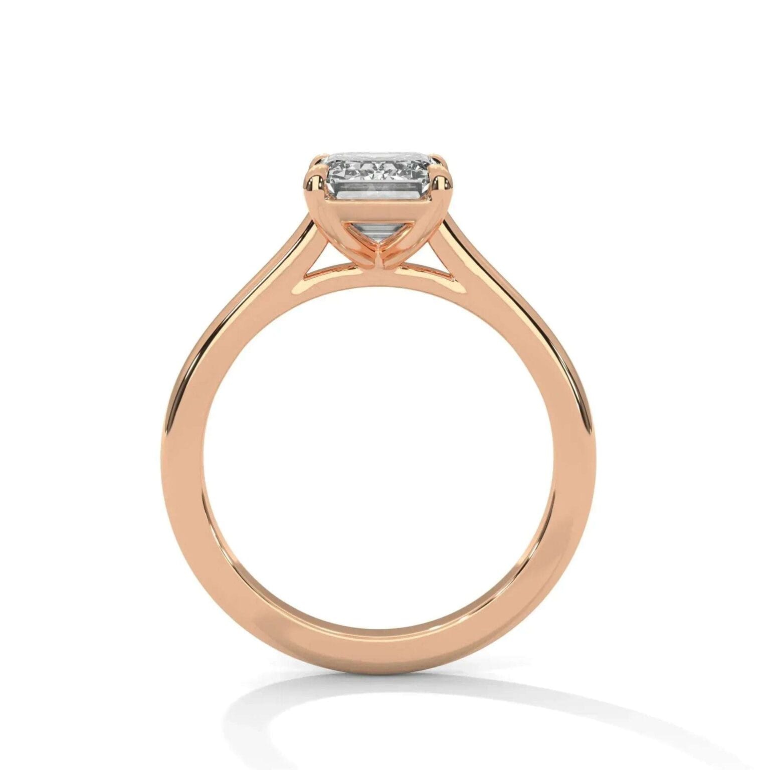 the cardinal cathedral setting