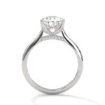 the solstice tulip setting