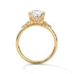 the nora setting