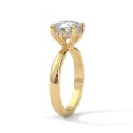 the ivora setting