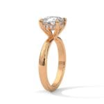 the ivora setting