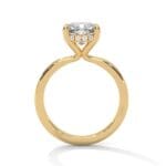 the ivora setting