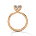 the ivora setting