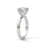 the ivora setting