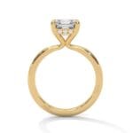 the ivora setting