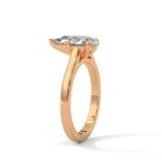 the cardinal cathedral setting