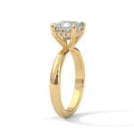 the ivora setting