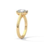 the cardinal cathedral setting