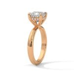 the ivora setting