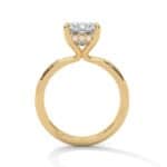 the ivora setting