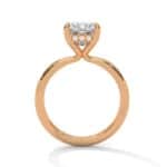 the ivora setting