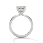 the ivora setting