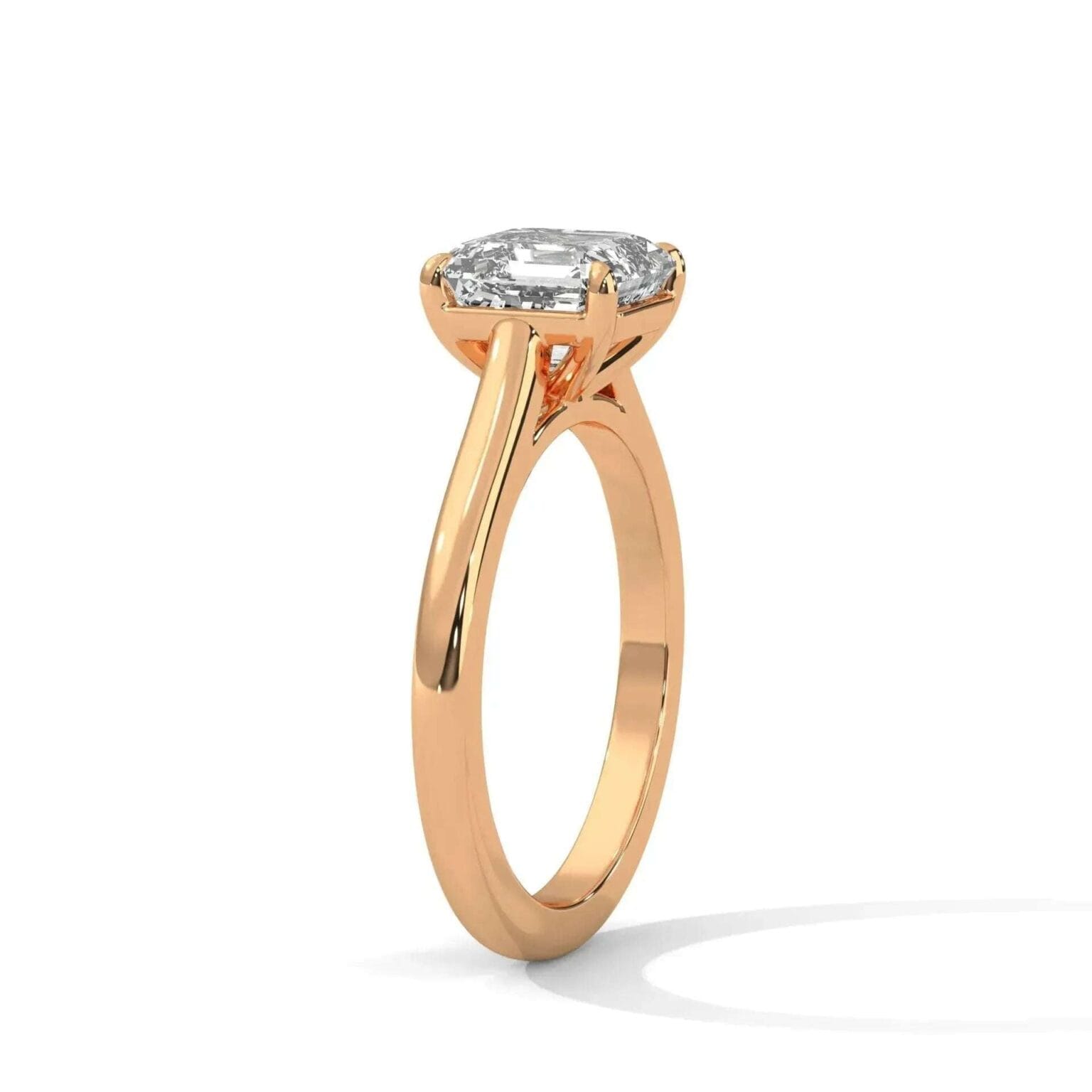 the cardinal cathedral setting