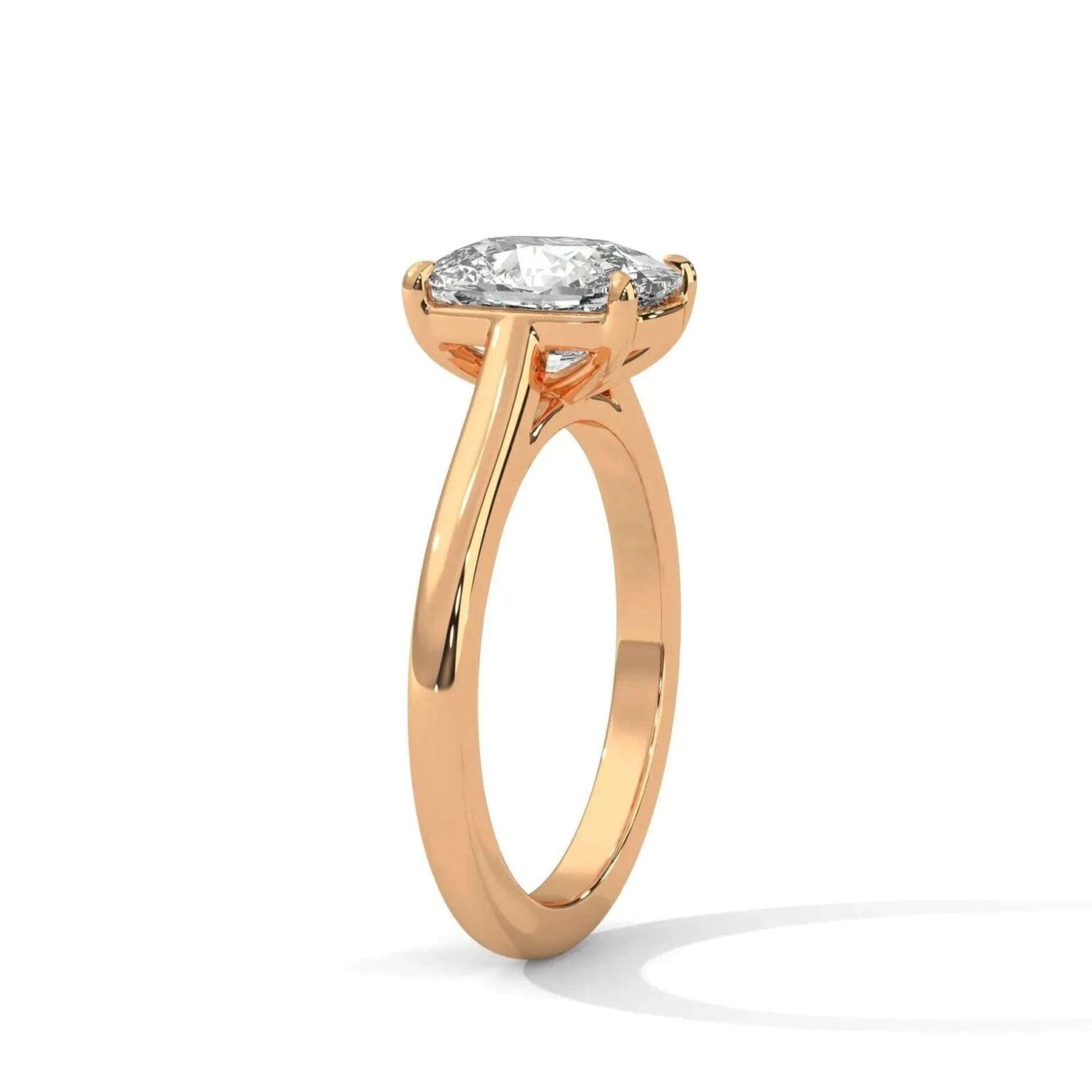 the cardinal cathedral setting