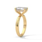 the ivora setting