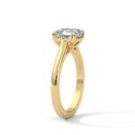 the cardinal cathedral setting