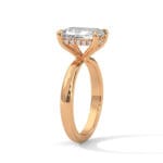 the ivora setting
