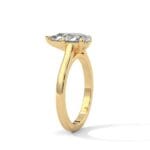 the cardinal cathedral setting