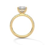 the sun belt setting