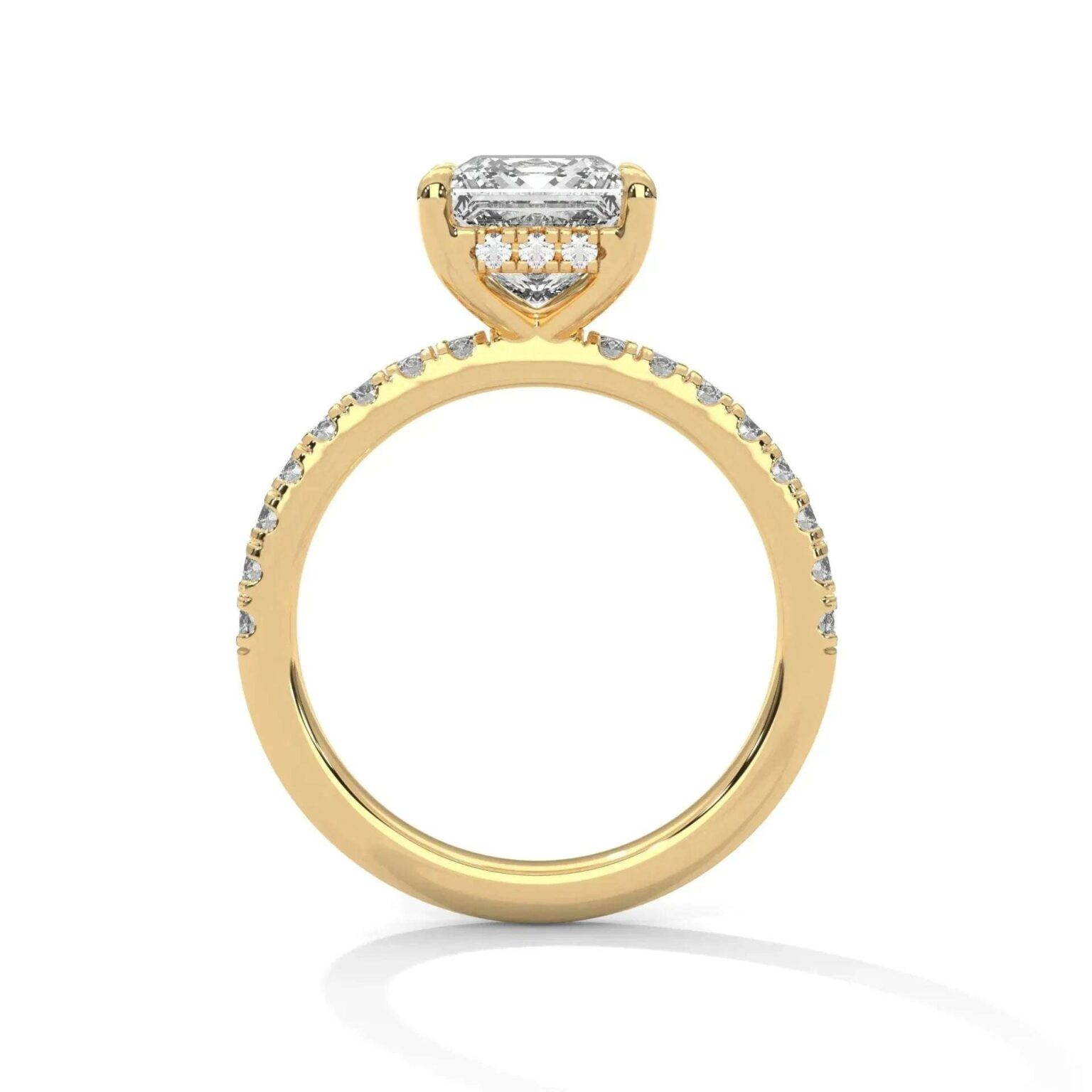 the sun belt setting