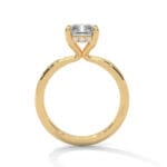 the ivora setting