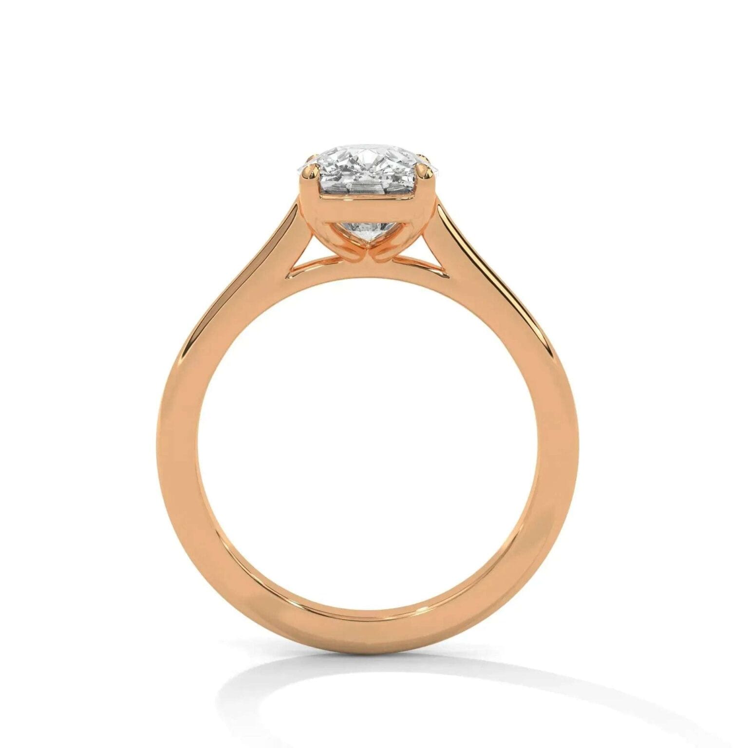 the cardinal cathedral setting