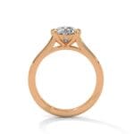 the cardinal cathedral setting