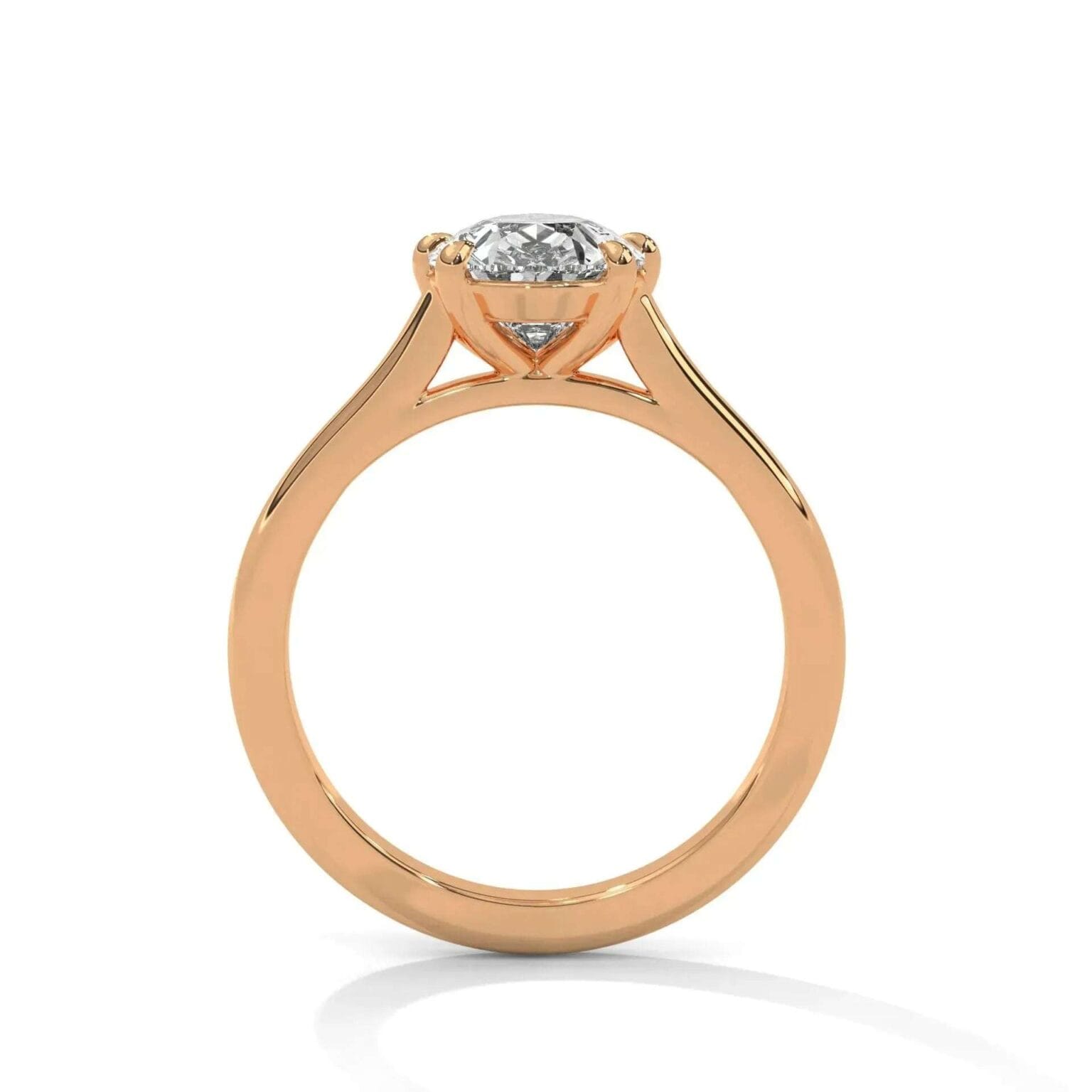 the cardinal cathedral setting