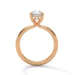 the ivora setting