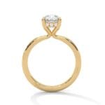 the ivora setting