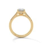 the cardinal cathedral setting