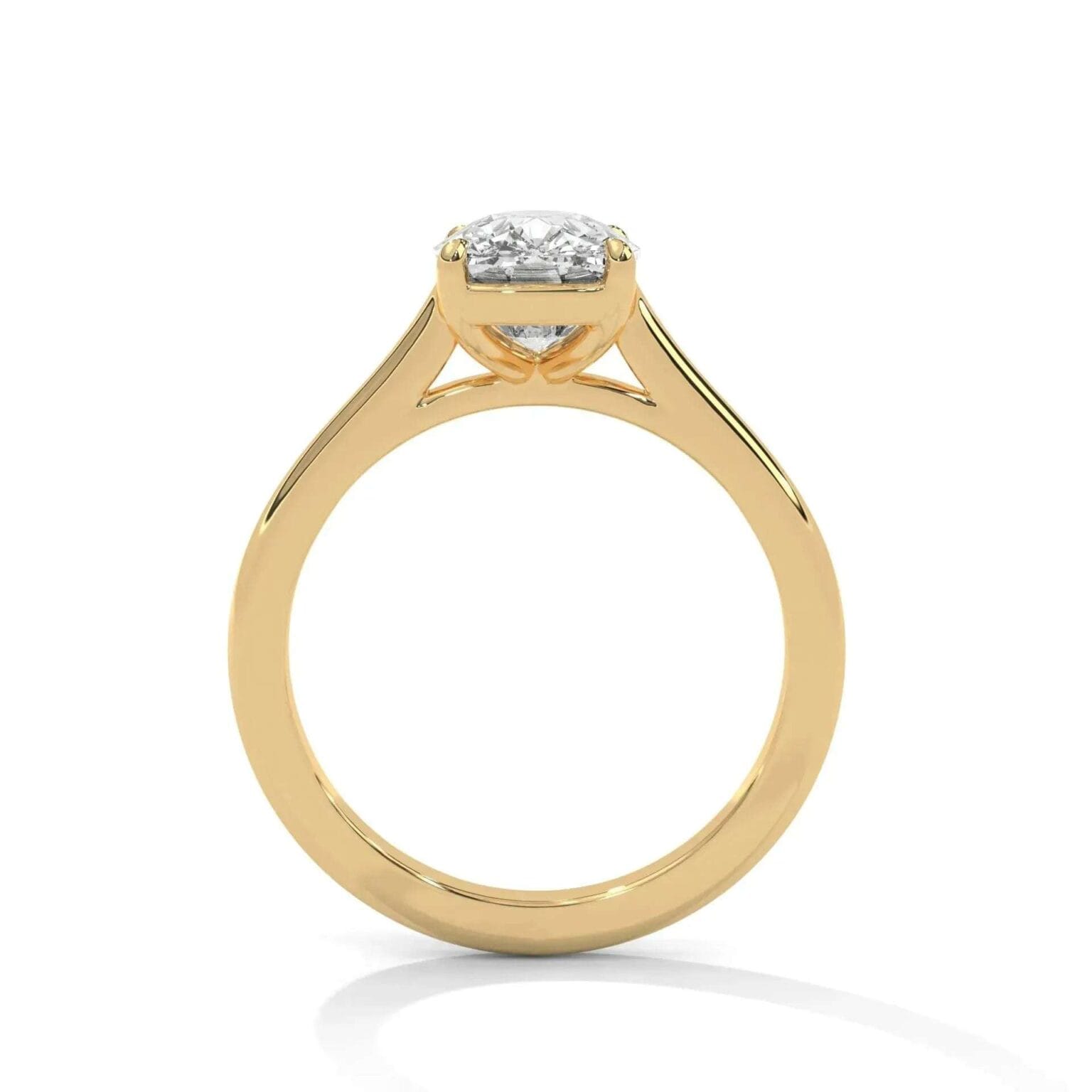 the cardinal cathedral setting