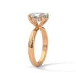 the ivora setting