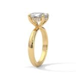 the ivora setting