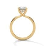 the ivora setting