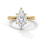 the ivora setting