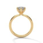 the ivora setting