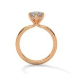 the ivora setting