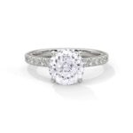 the sun belt setting