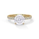 the sun belt setting