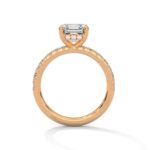 the sun belt setting