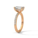 the sun belt setting