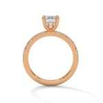 the sun belt setting