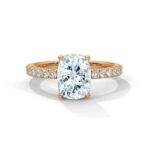 the sun belt setting