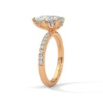 the sun belt setting